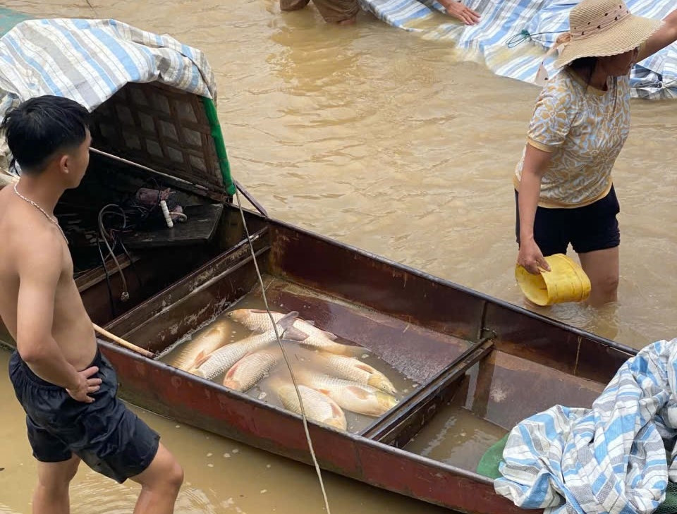 a2Mực nước gần nhà máy .jpg