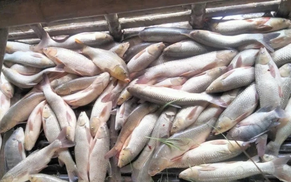 a3Mực nước gần nhà máy .jpg