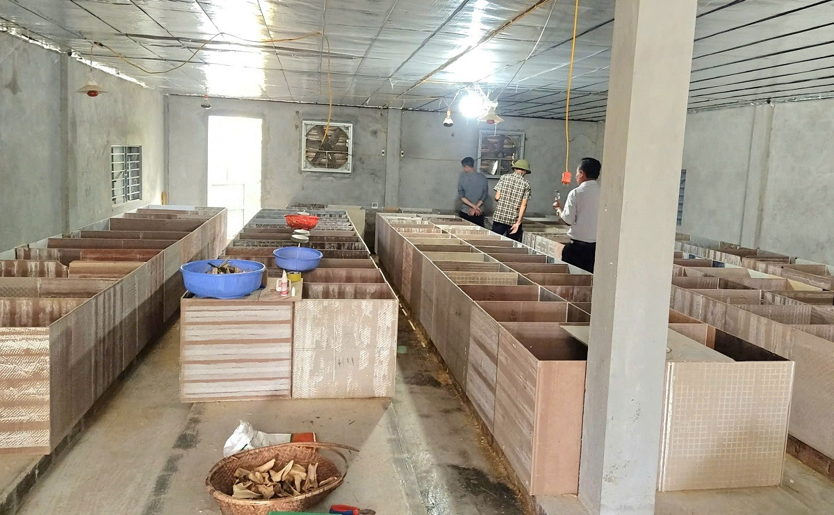 ảnh 4.jpg