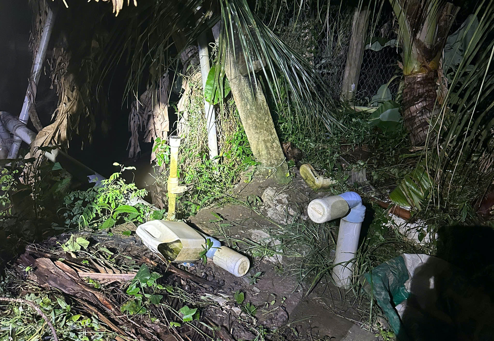 Đồng Tháp.jpg