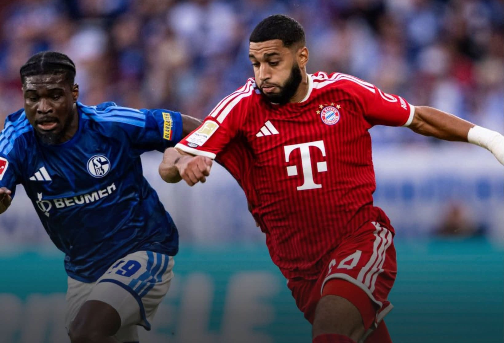 Harry Kane im tiếng, Bayern Munich bị Schalke chặn đứng