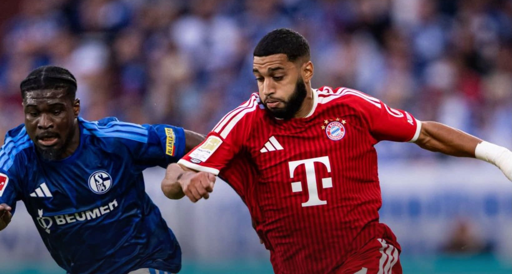 Harry Kane im tiếng, Bayern Munich bị Schalke chặn đứng