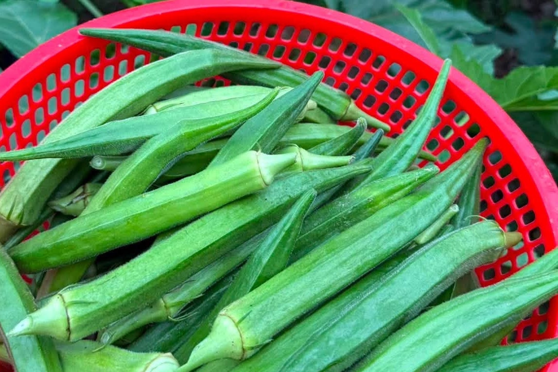 Loại quả rẻ bèo bán đầy chợ giúp kiểm soát đường huyết hiệu quả
