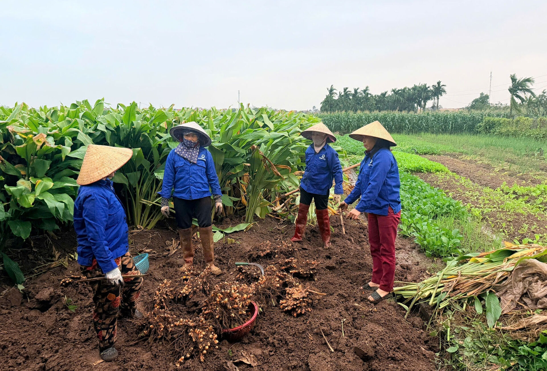 7,2 triệu người có việc làm, vì sao sinh kế vẫn mong manh?