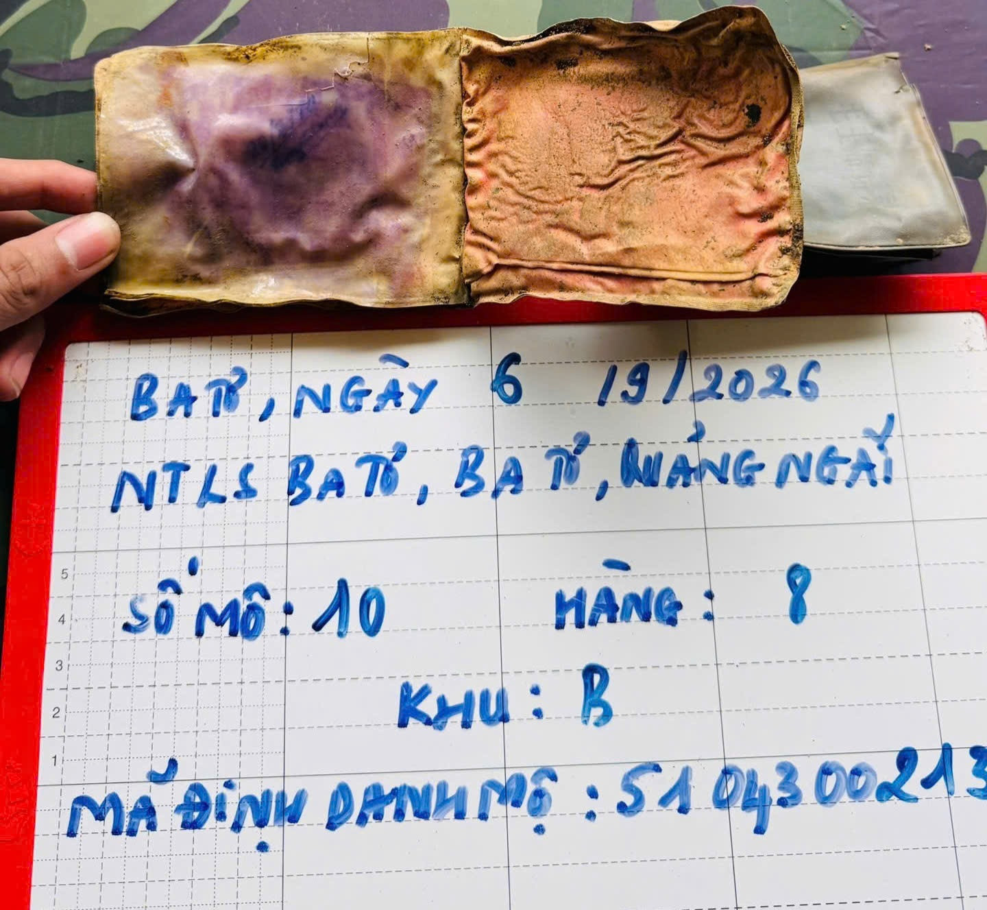 anh 778888.jpg