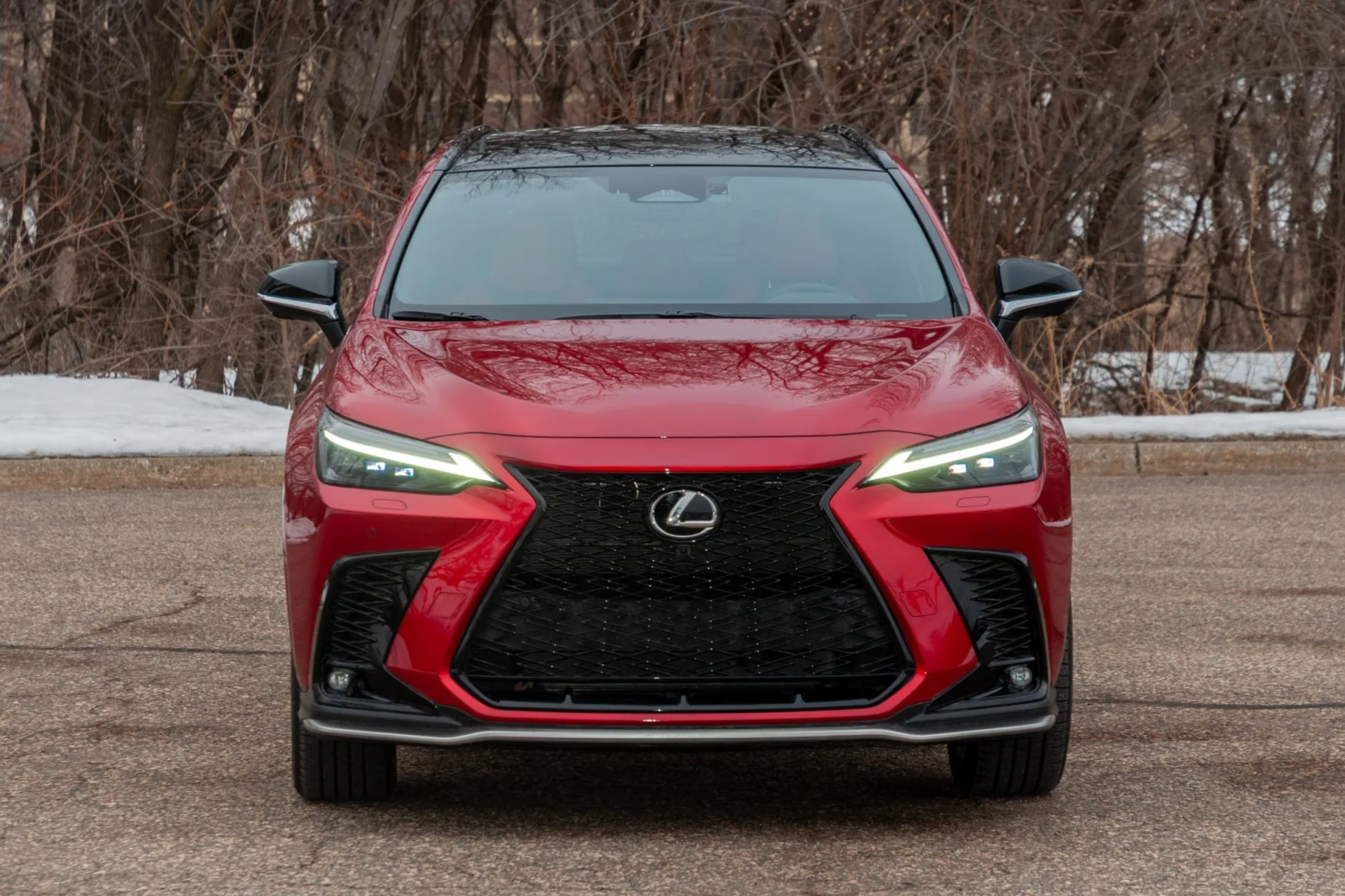 Lexus NX 350h (9).jpg