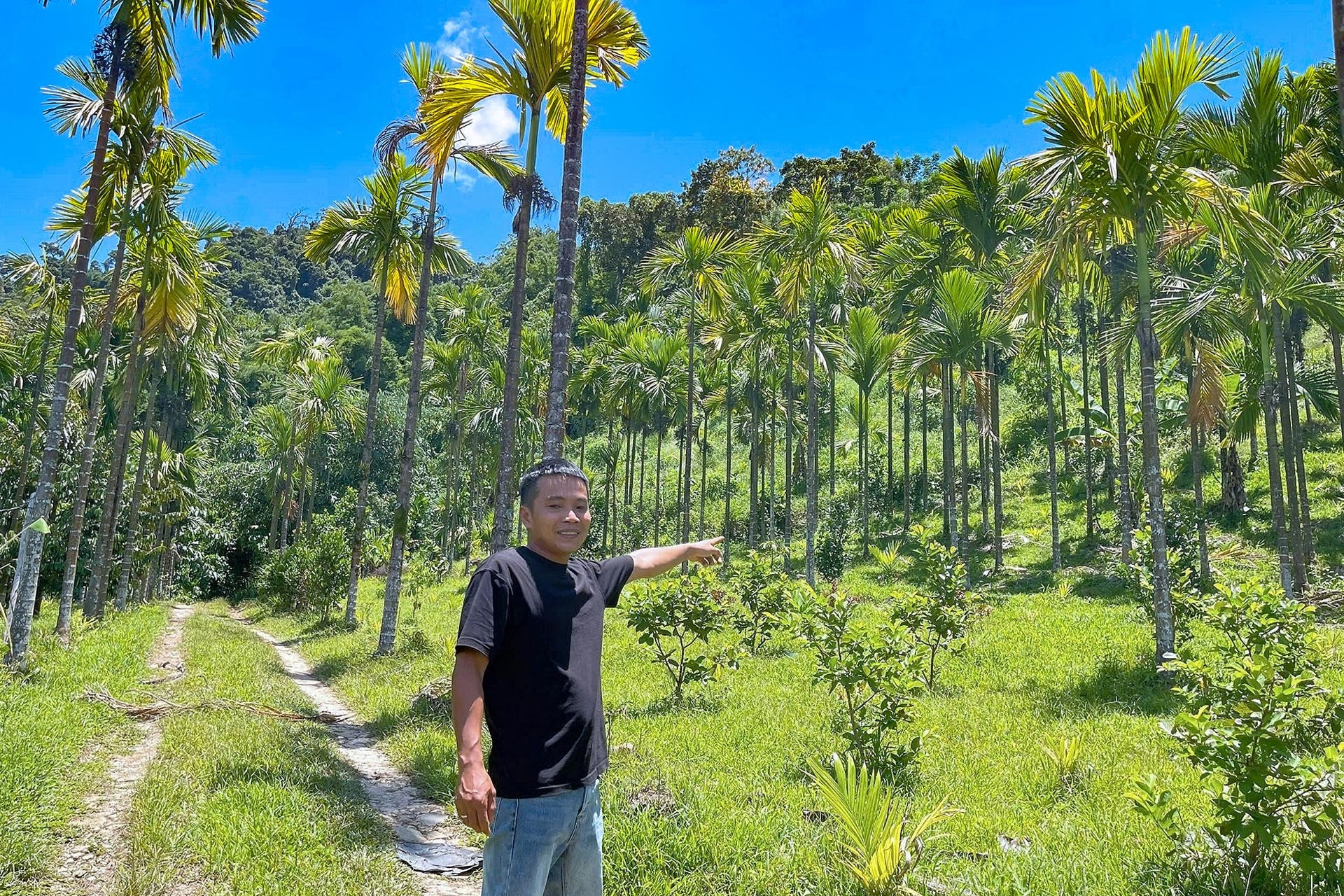 Người dân Nam Trà My biến đồi 