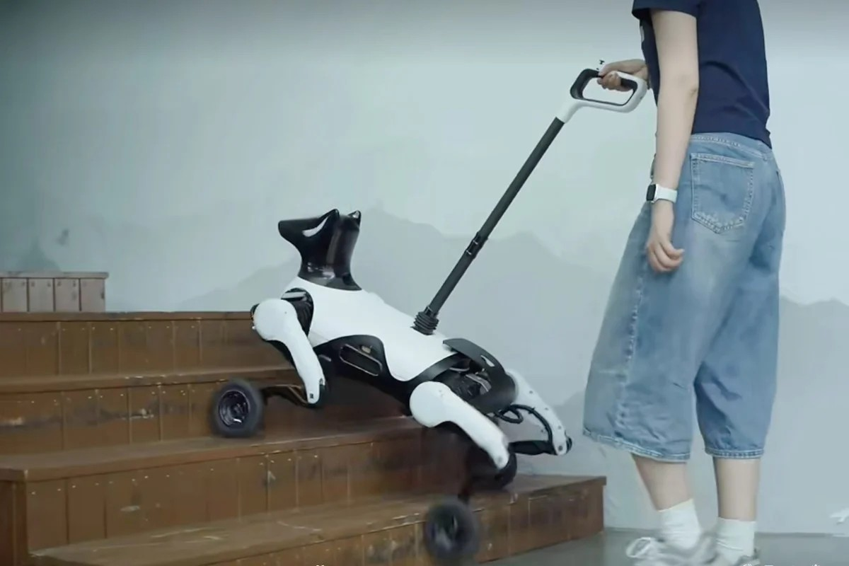 Trung Quốc ra mắt robot chó dẫn đường cho người khiếm thị