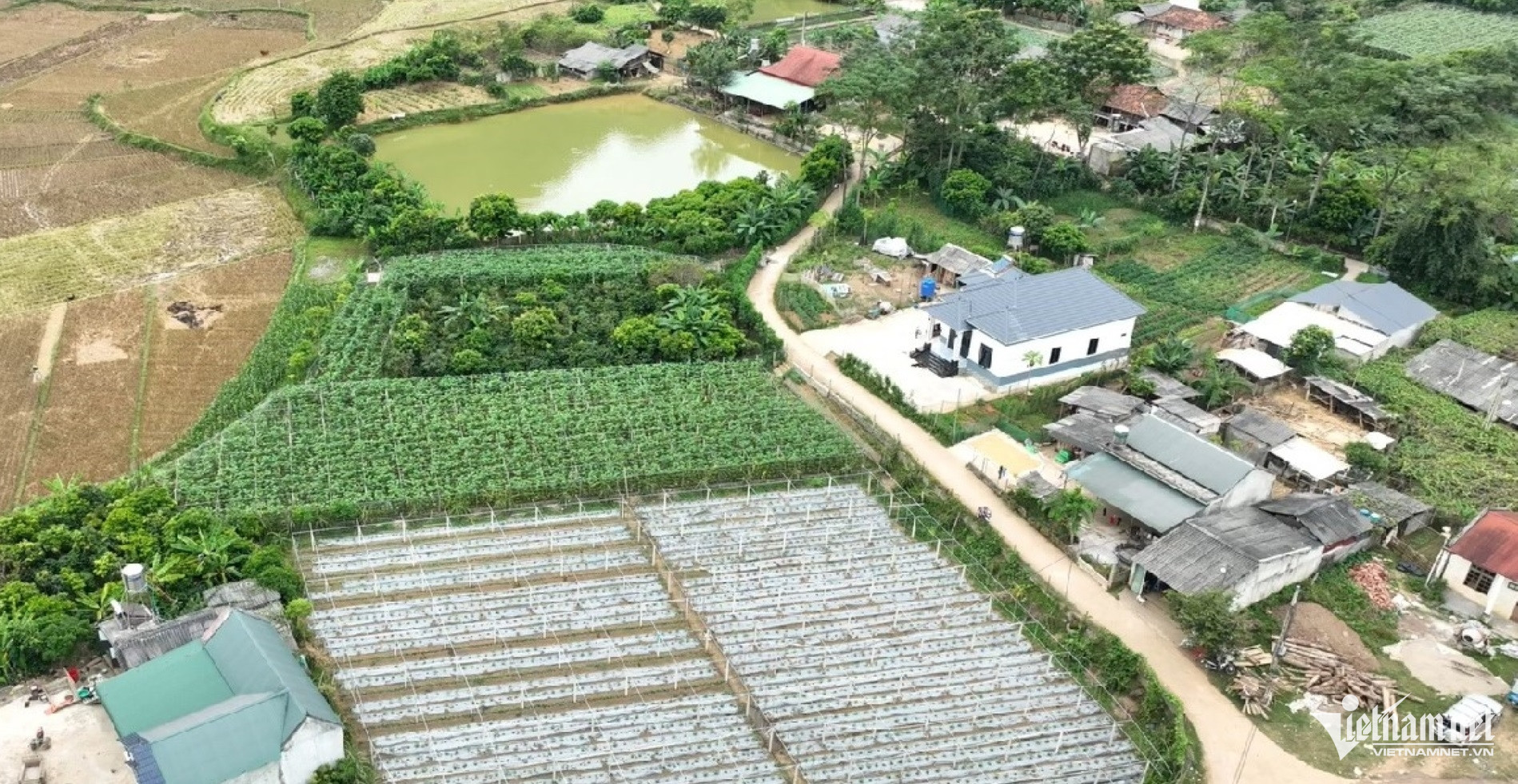 W-anh minh hoa 1 246.jpg