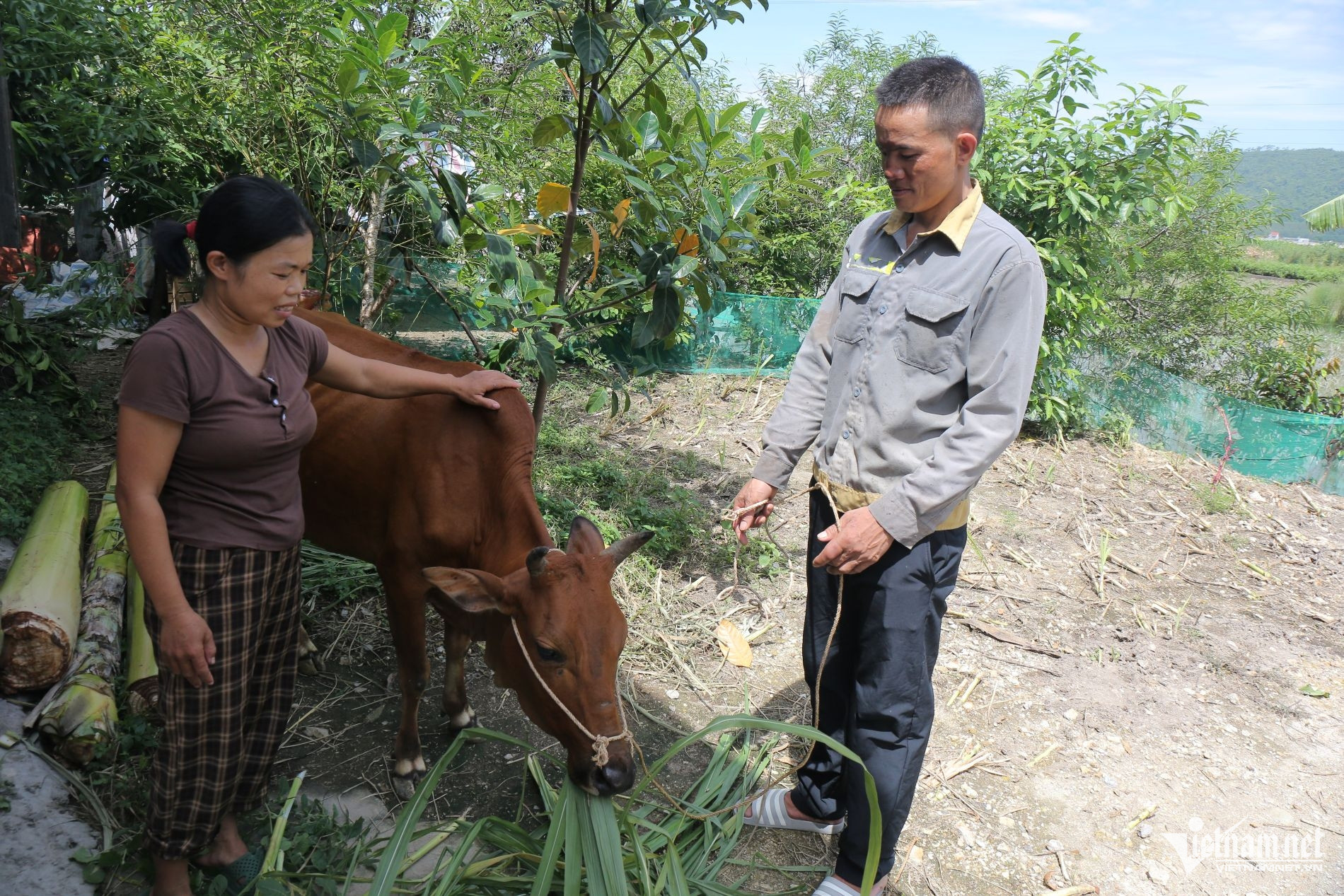 W-Tài sản.JPG.jpg