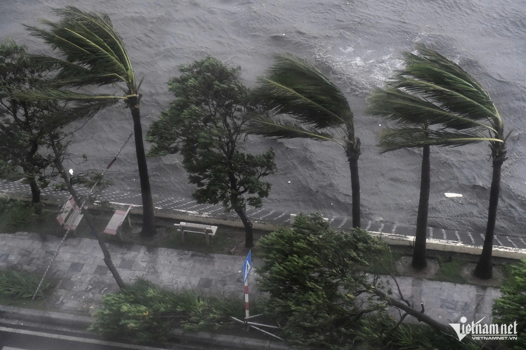 Bão Yagi