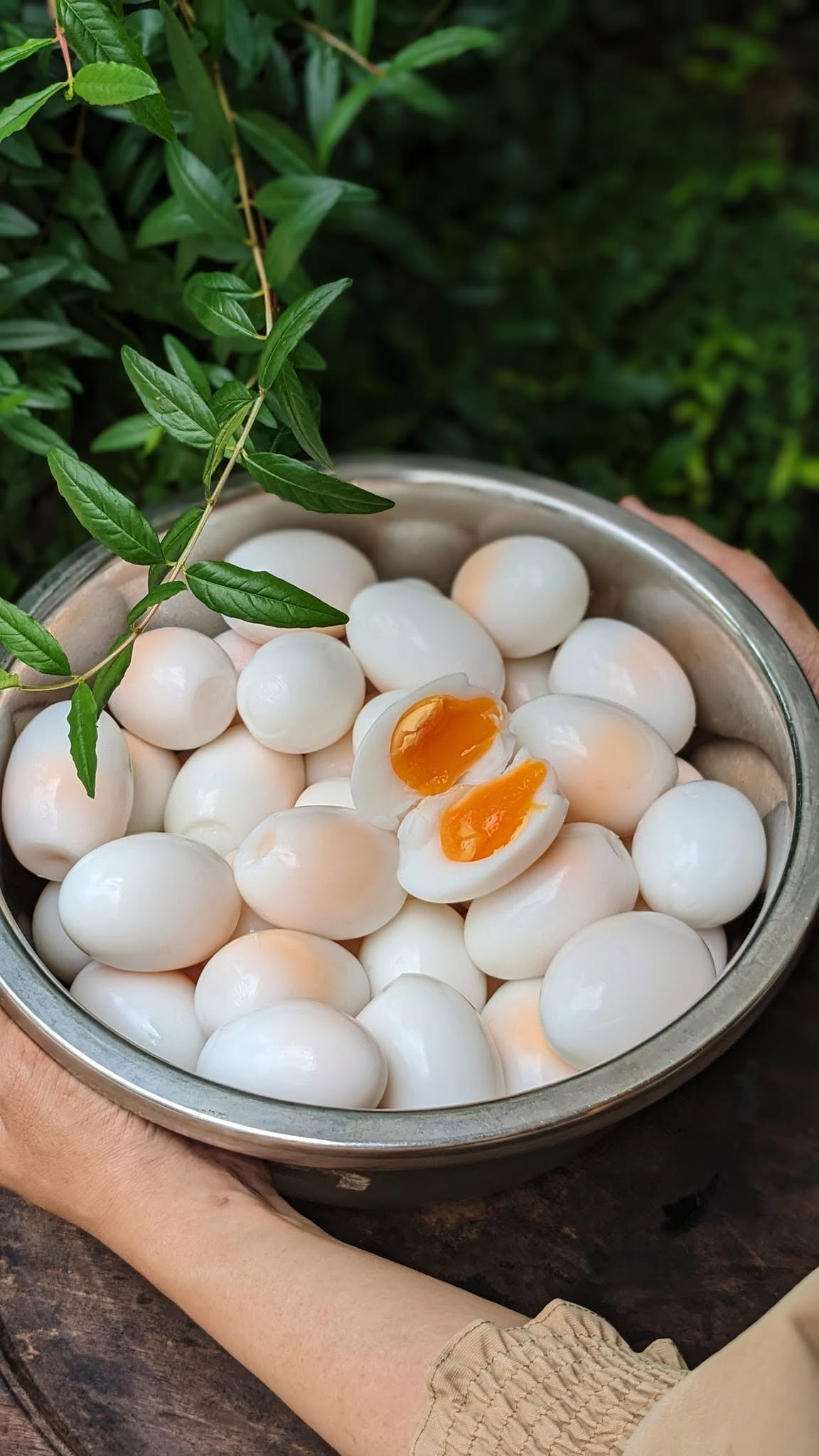 trứng vịt   hoang em nguyen.jpg