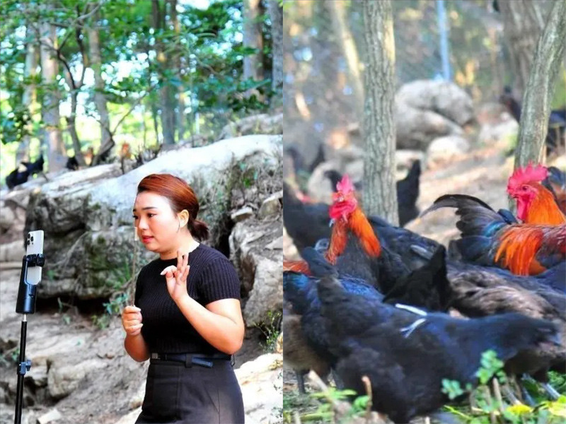 anh trong bài.jpg