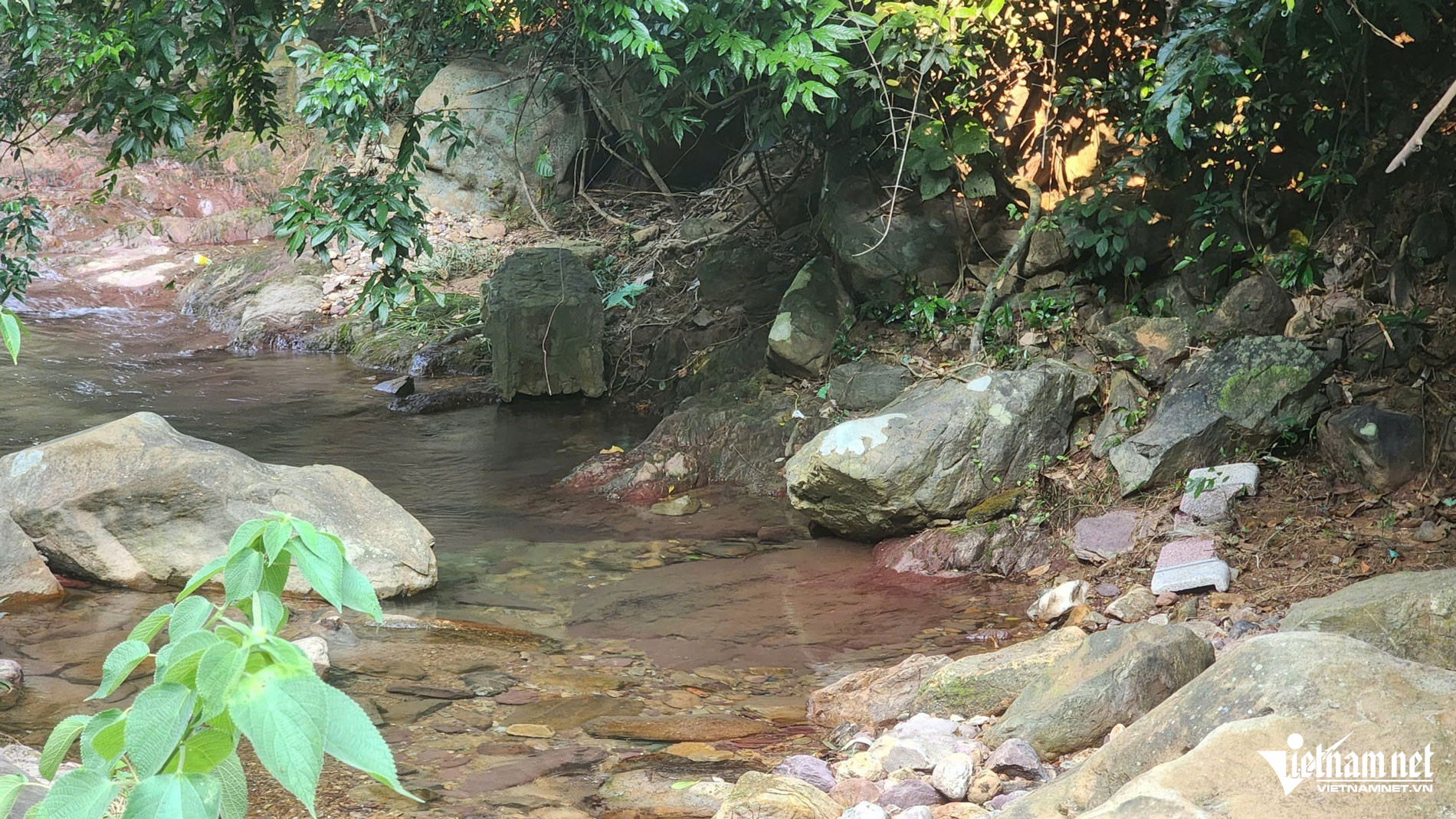 W-damau6.jpg