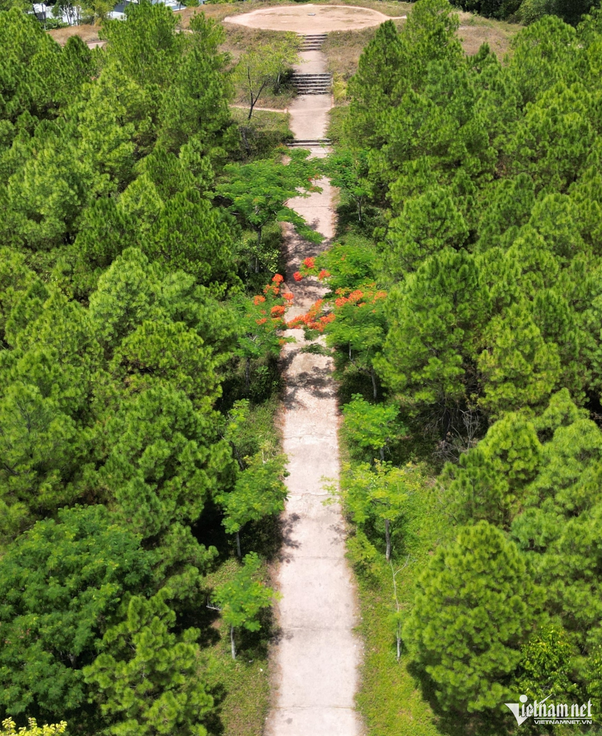 W-DJI_0378.jpg