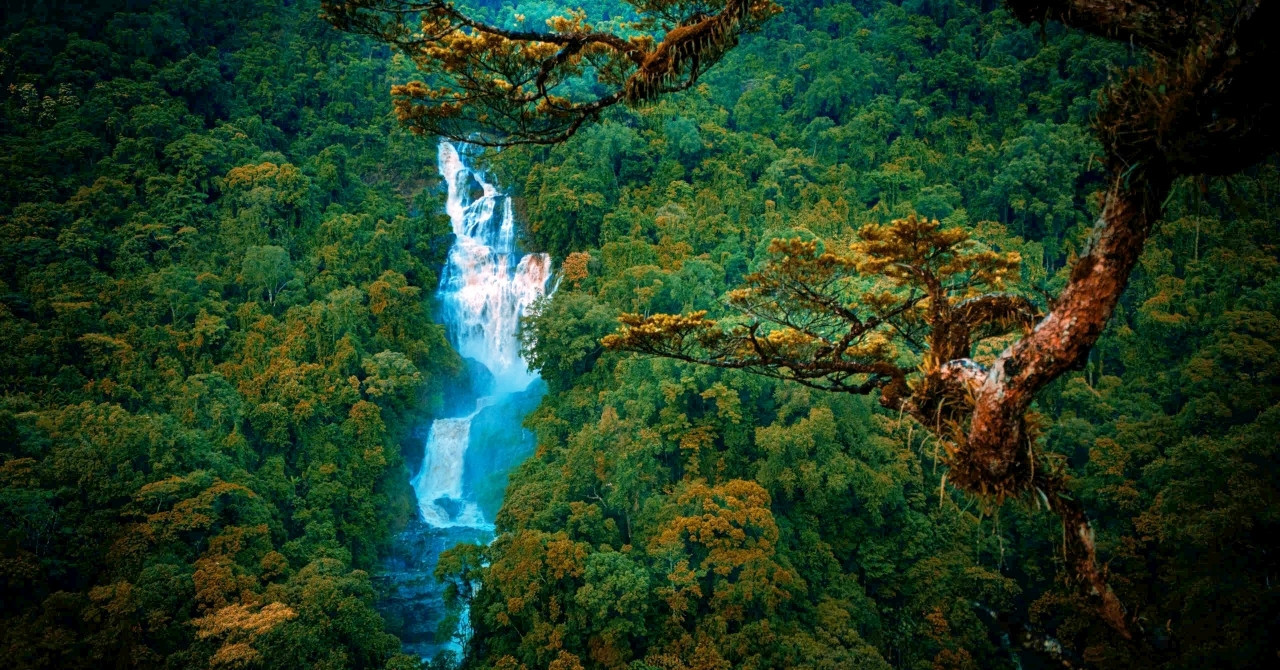 Explore Siu Puong Waterfall: One of VN tallest and most pristine waterfalls