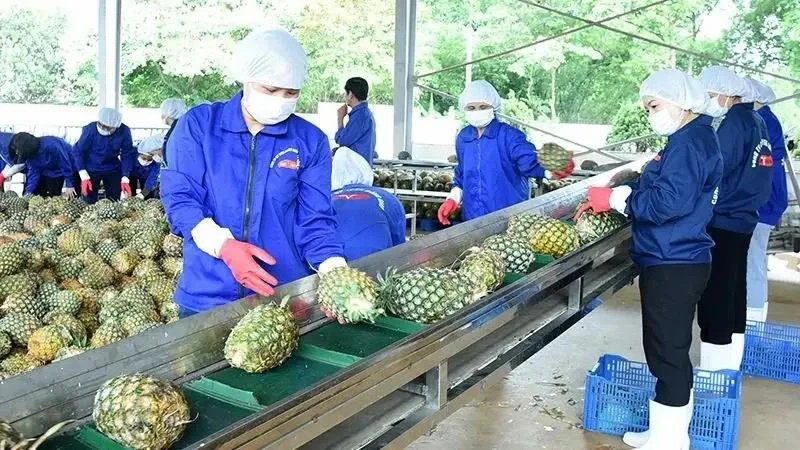 Vietnam's fruit, vegetable exports near 7 billion USD target