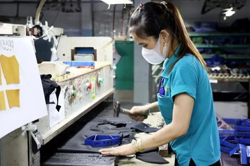 Over 51 million workers employed in first nine months