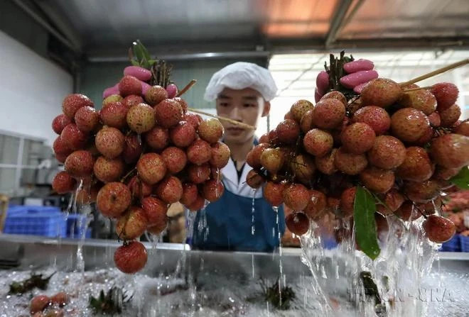 Vietnam turns to nuclear technology for development