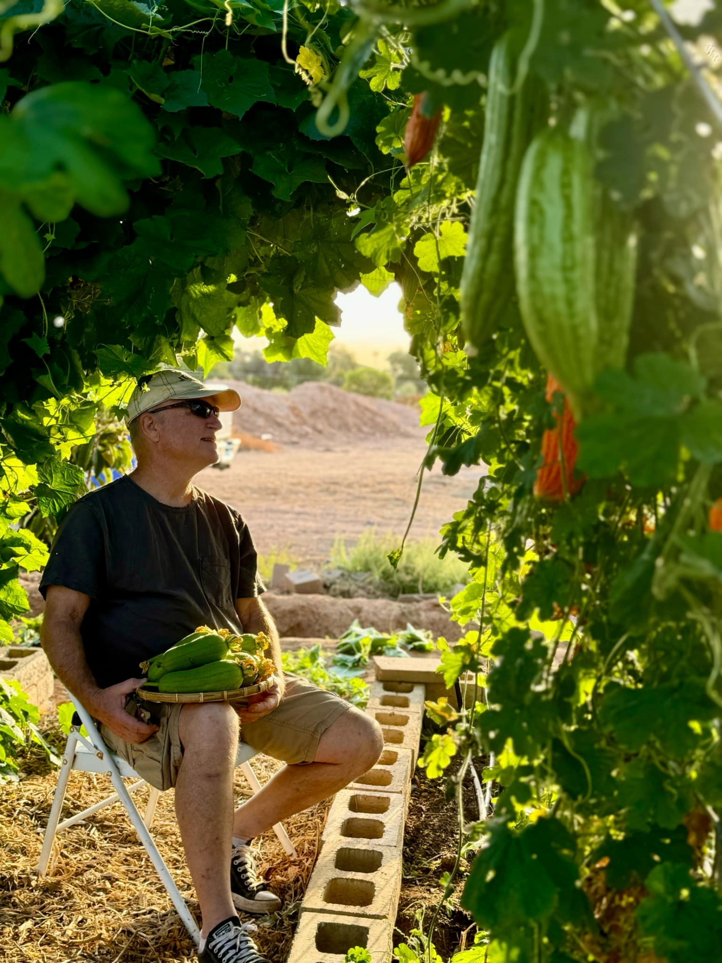 ảnh 2 làm vườn ở Mỹ.jpg