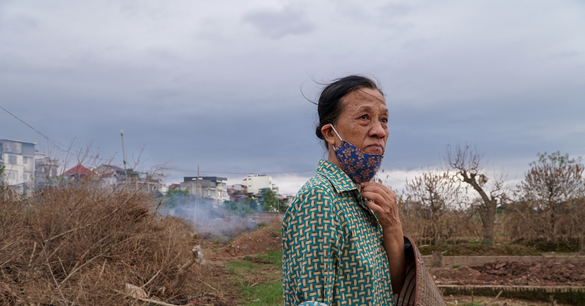 Flood aftermath: peach garden owners in Hanoi struggle to restore their orchards