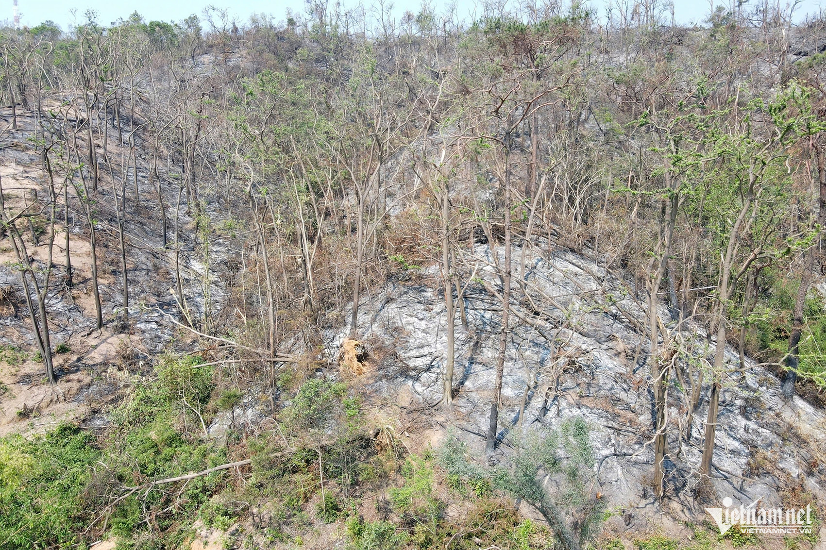 W-9c9a58cf 6fe6 4b62 be66 7ccb087ae11c.jpeg