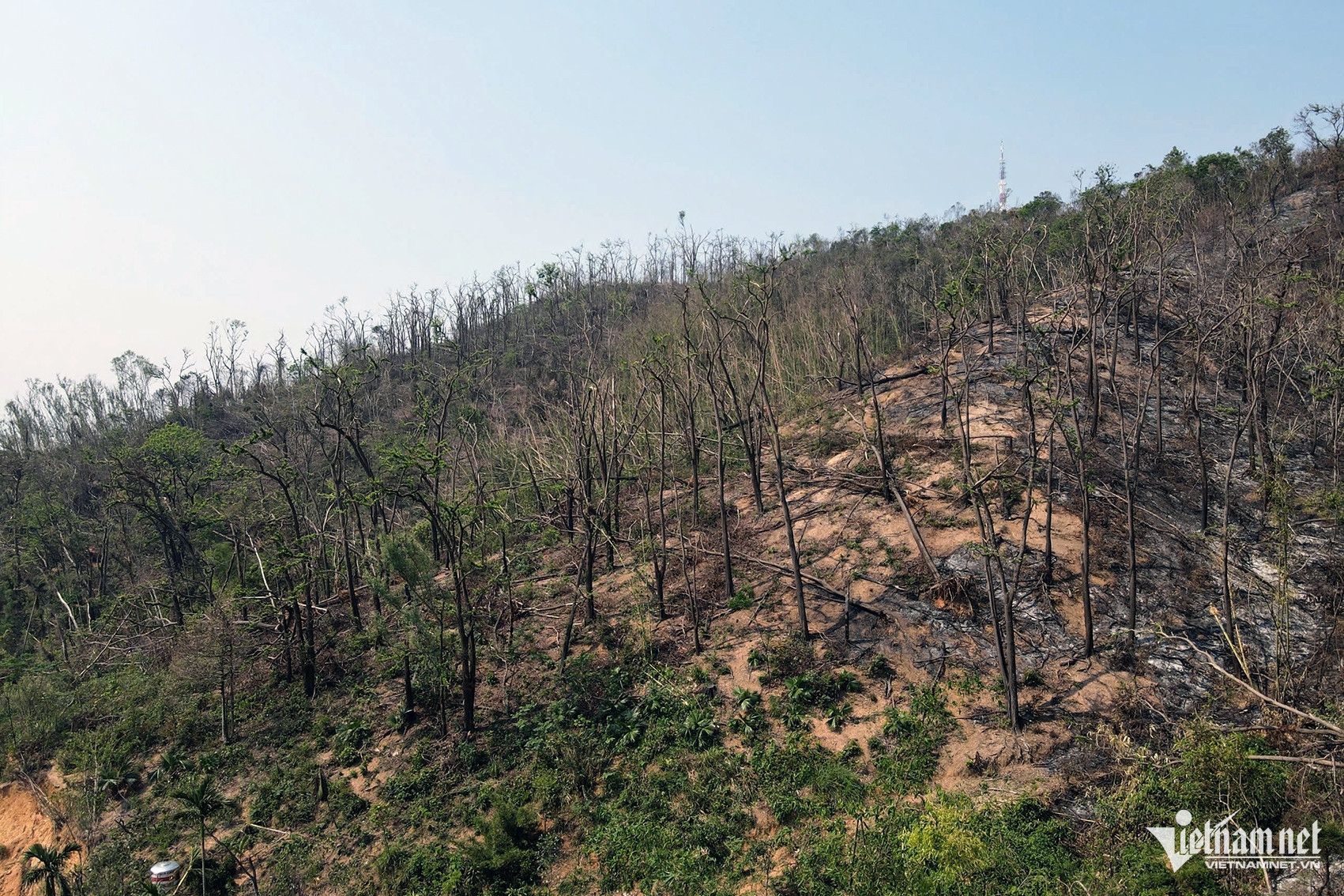 W-63ac5bd4 fc18 4b6f bdd7 d39182a993d6.jpeg