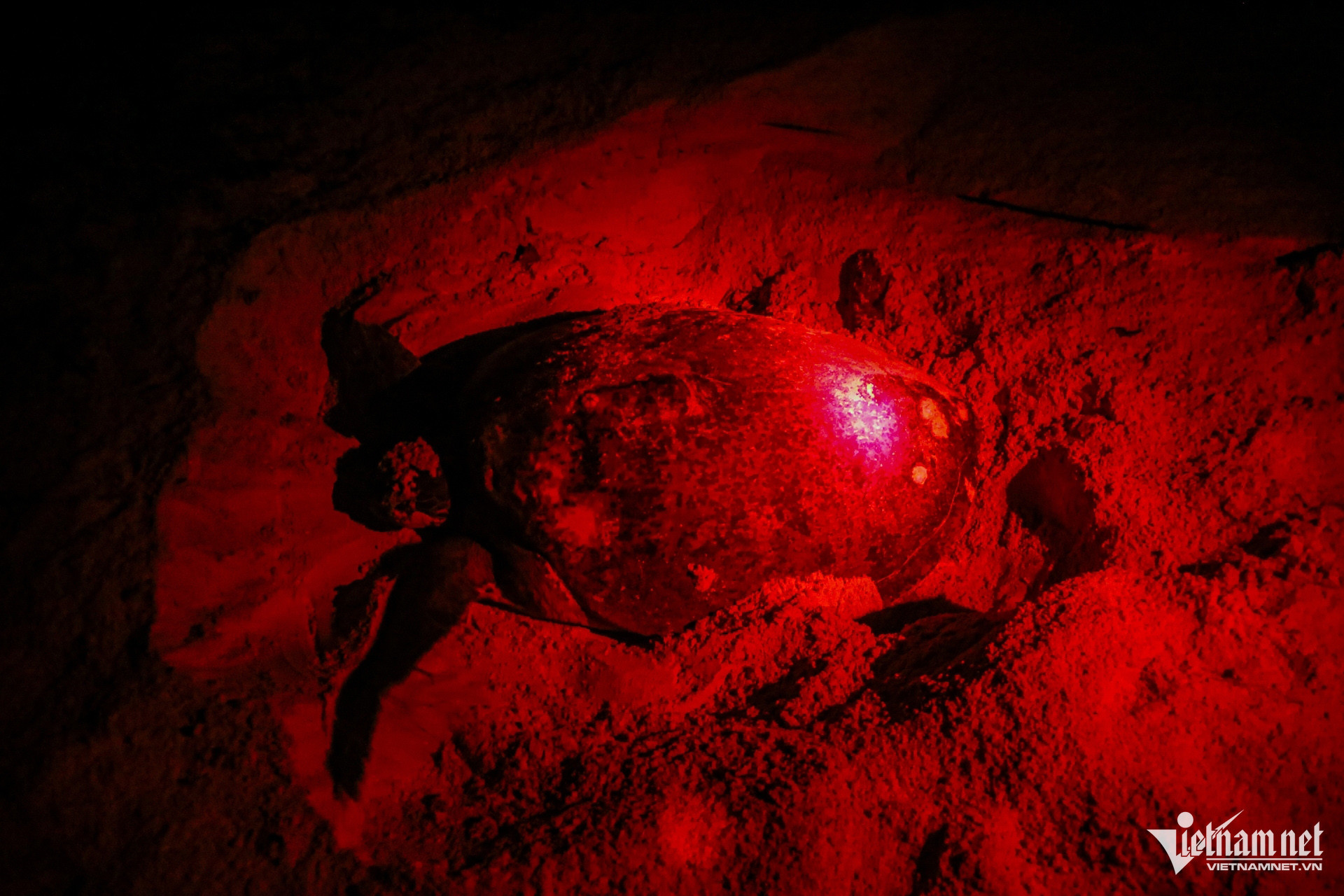 rua con dao 3 819.jpg