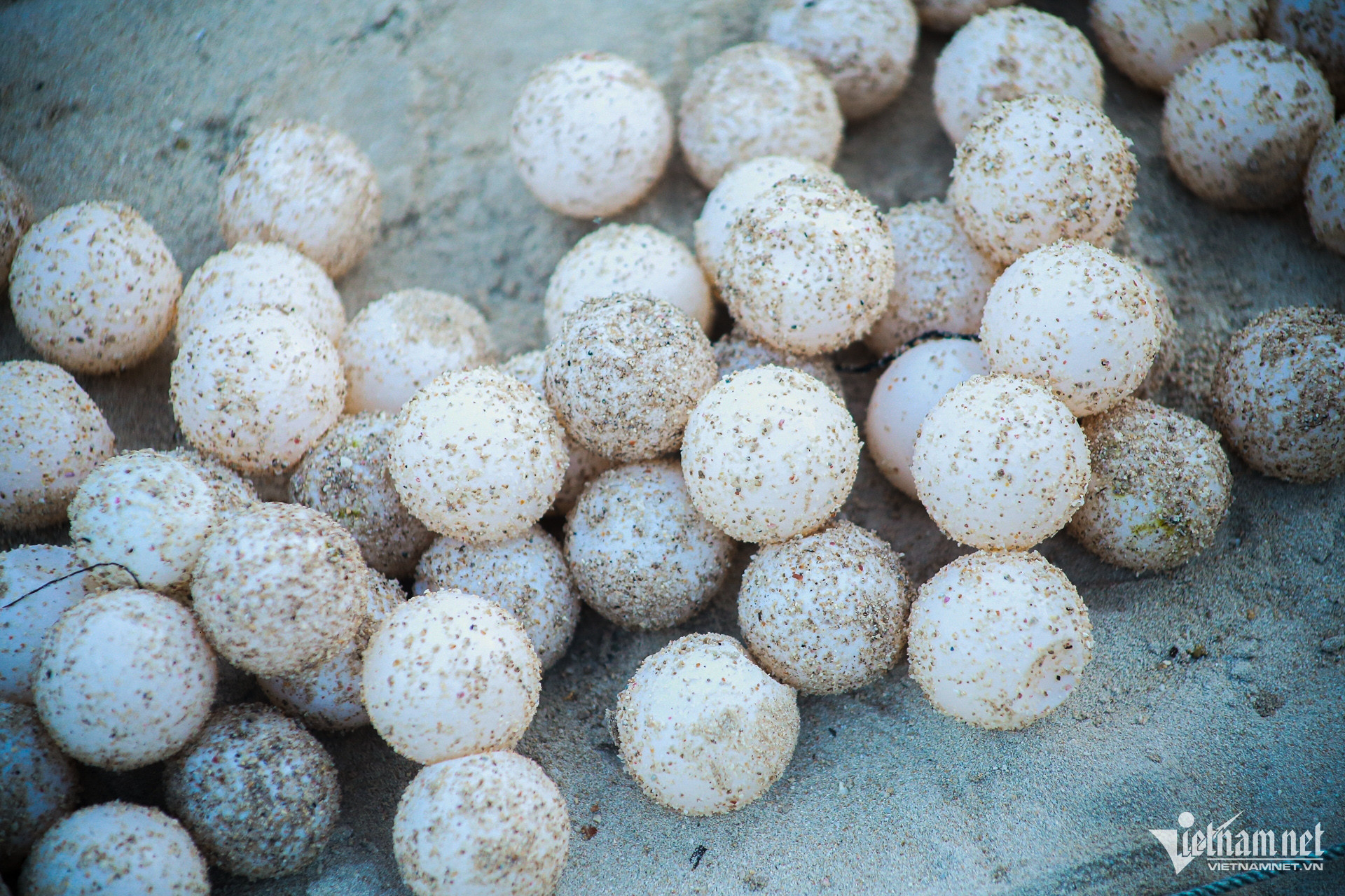 rua con dao 7 820.jpg