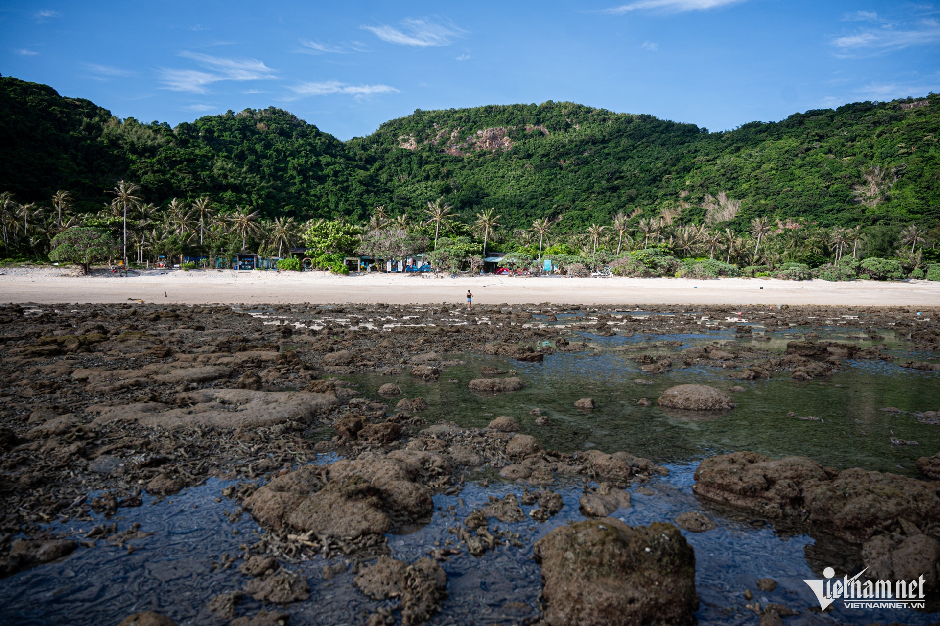 W-rùa côn đảo 10.jpg