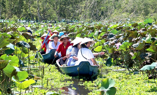 Solving human resource problem to develop tourism in Mekong Delta