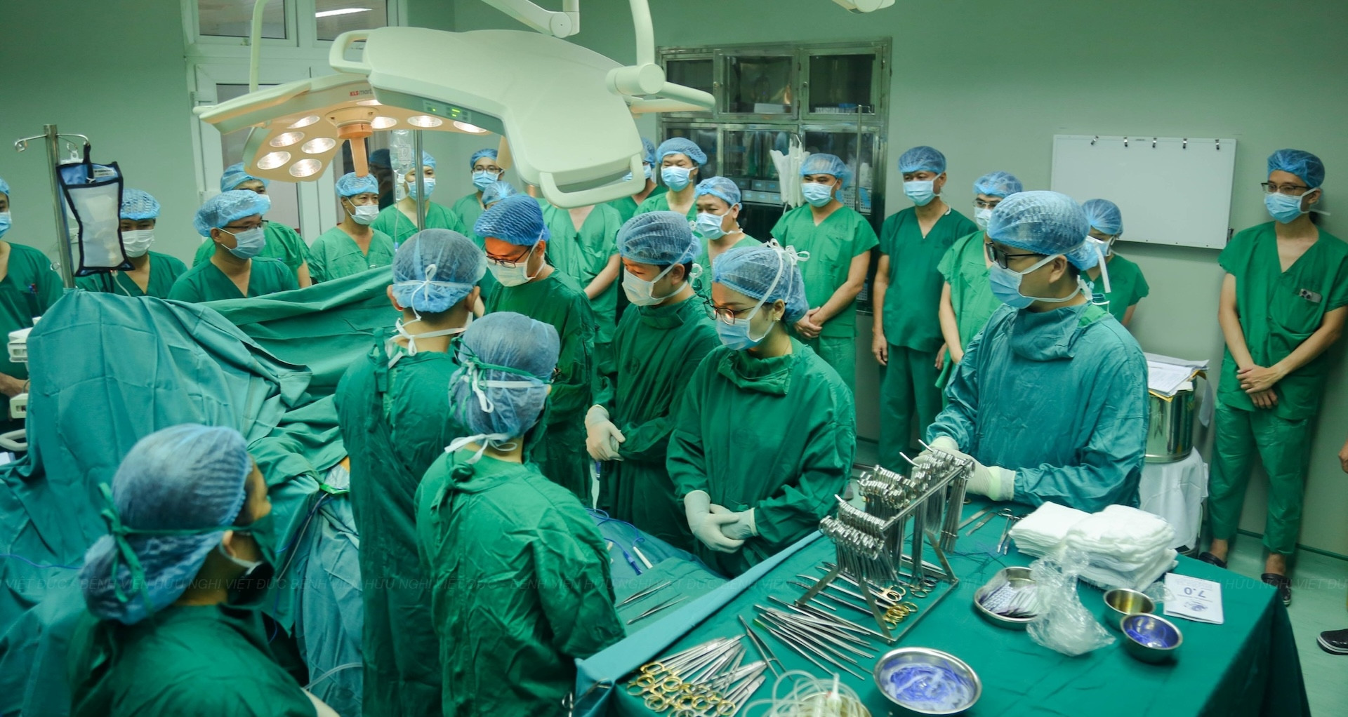 Vietnam achieves new record in organ transplantation