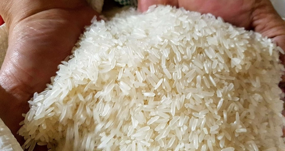 Despite high production, Indonesia spends $625 million on Vietnamese rice