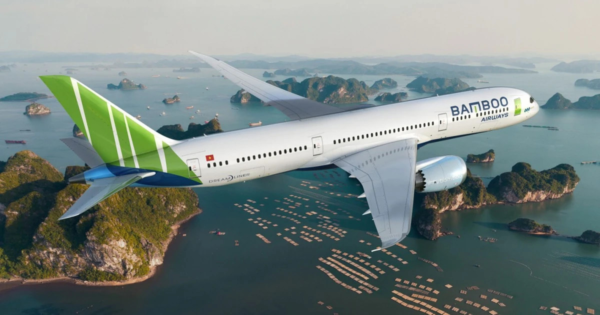 Bamboo Airways to resume int’l flights from November