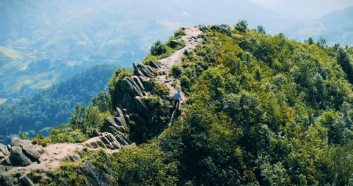 'Dinosaur Spine' in Mu Cang Chai draws visitors with its unspoiled beauty