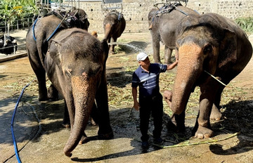 A veterinarian in Central Highlands with a deep connection&duty to wild animals