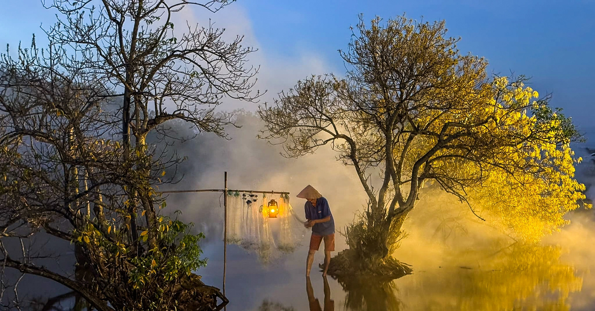 Ru Cha mangrove forest in Hue shines with golden beauty this fall