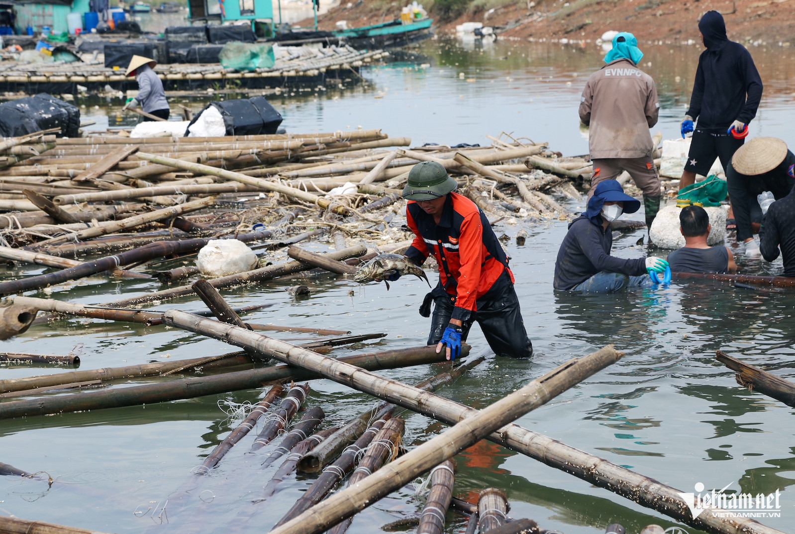 taithiet2 PhamCong.jpg