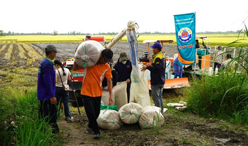 Green rice revolution reaps nationwide benefits