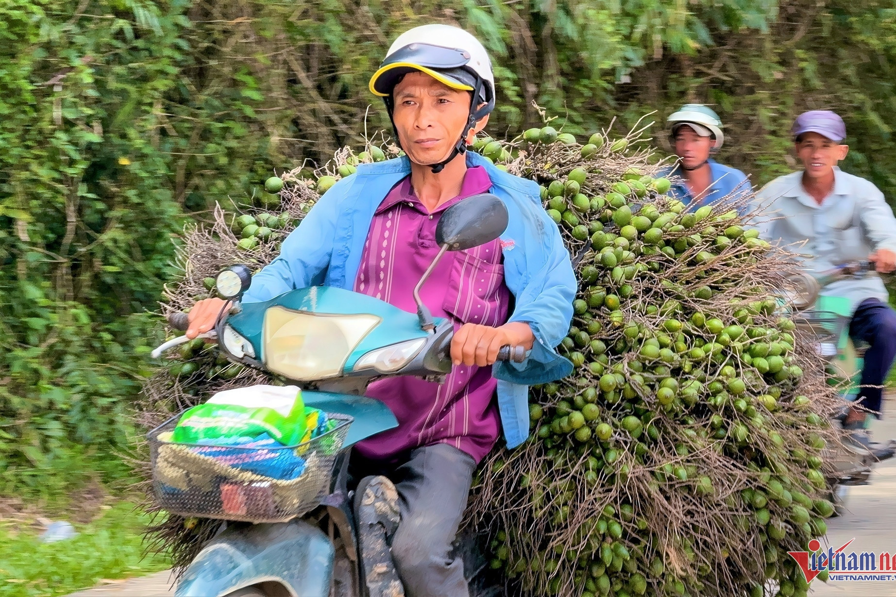 Areca nut prices soar, farmers get windfall, but price drop anticipated