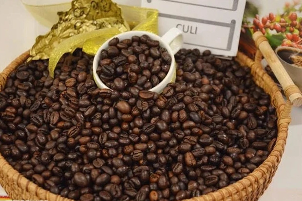 Vietnam’s coffee exports exceed 5 billion USD in 2023-2024 crop year