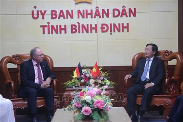 German firm seeks 4.6-billion-USD investment in offshore wind power in Binh Dinh