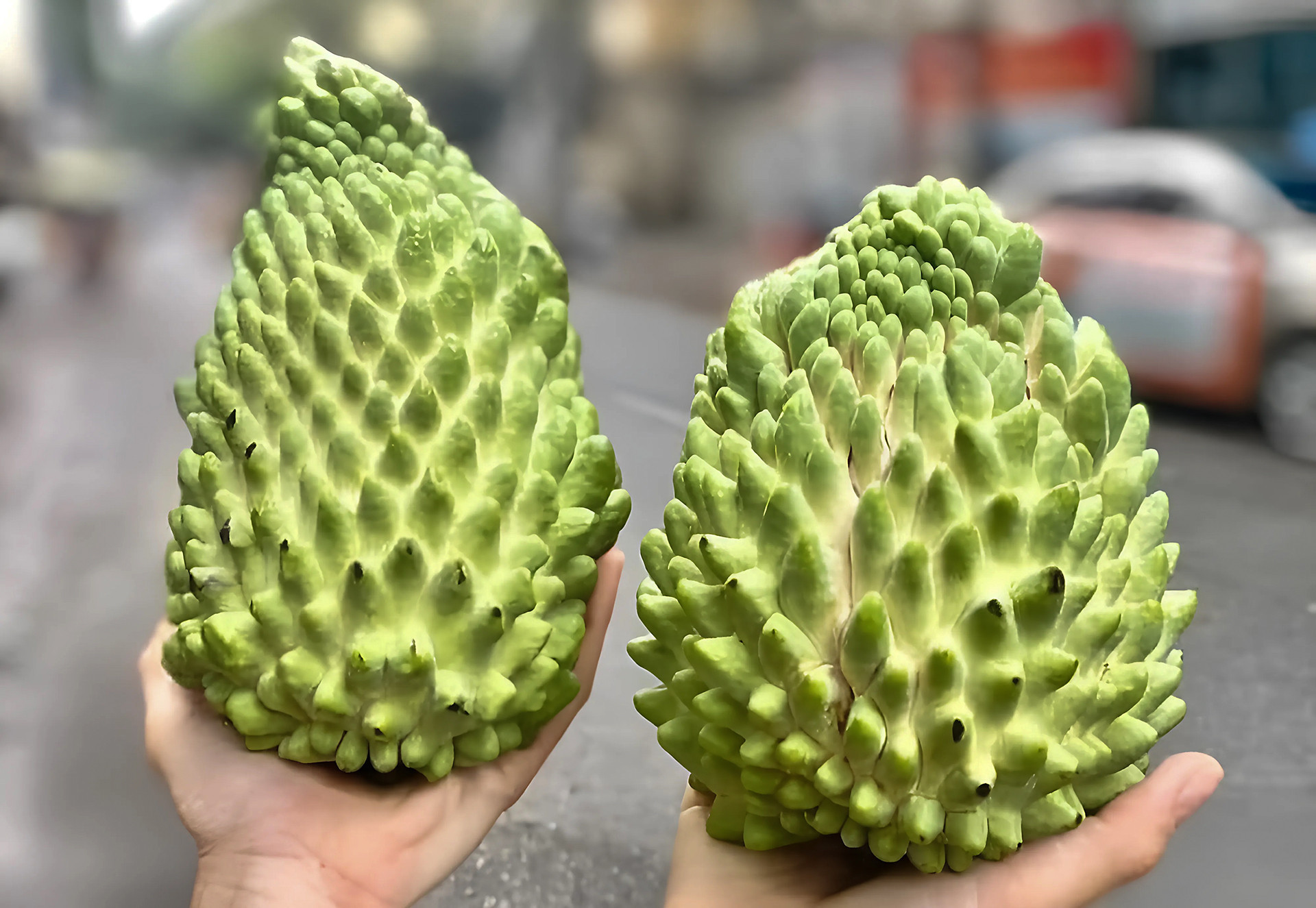 IMG_D22A7FC59114 1.jpg