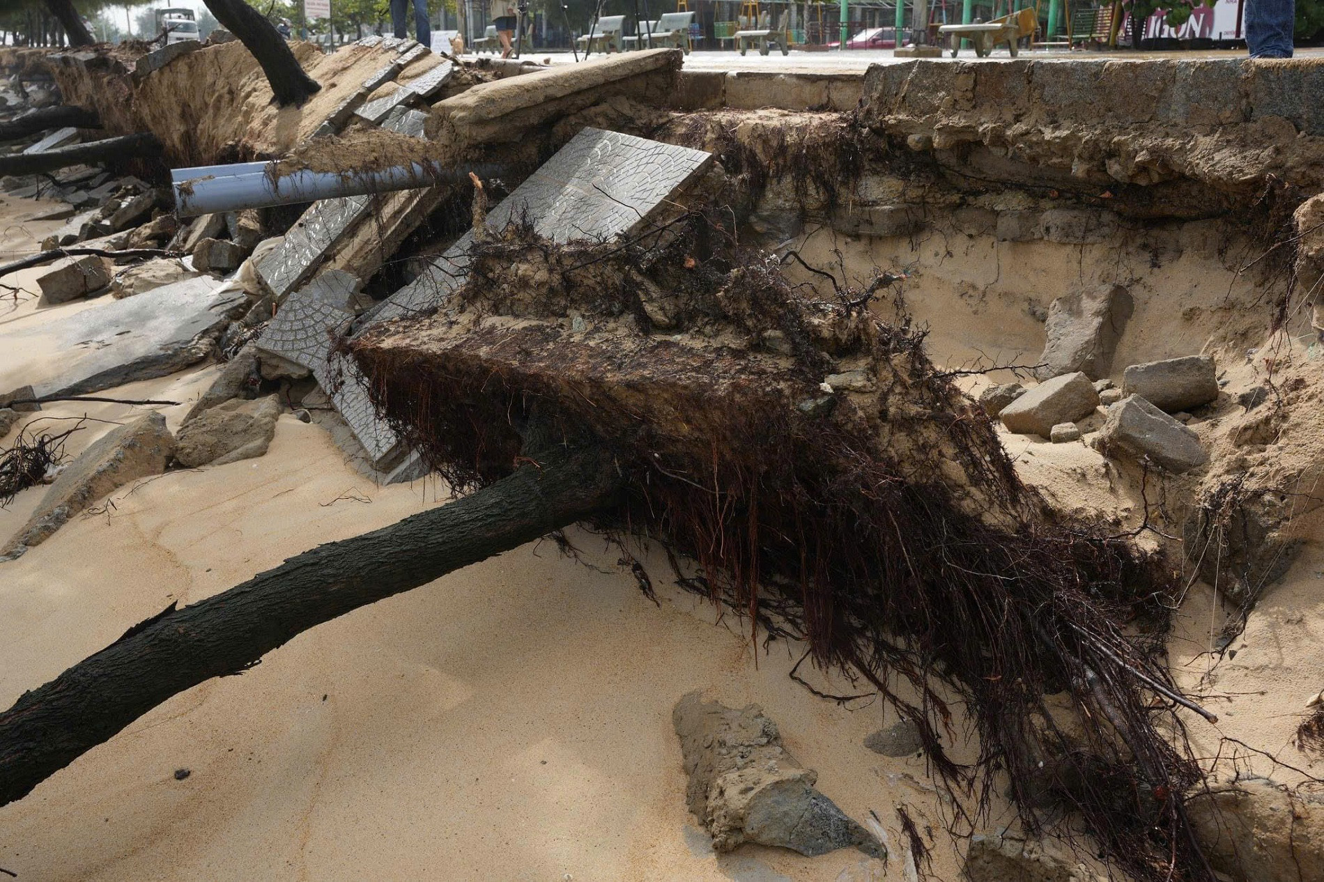 sạt bờ b iển (3).jpg