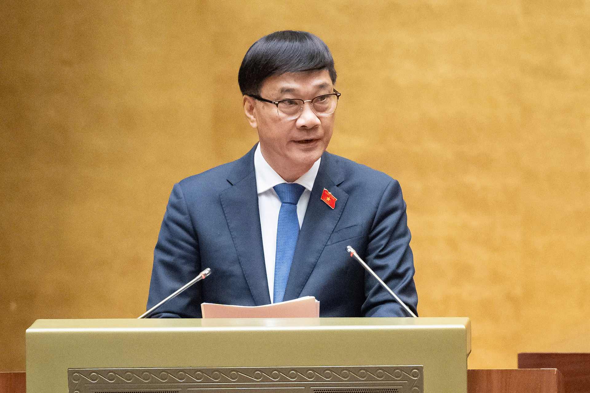 daugiadat QuocHoi.jpg