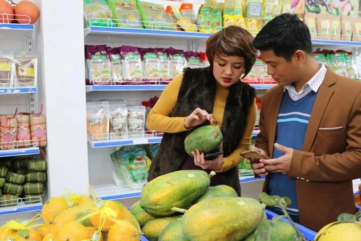 Vietnam Business News October 26/2024