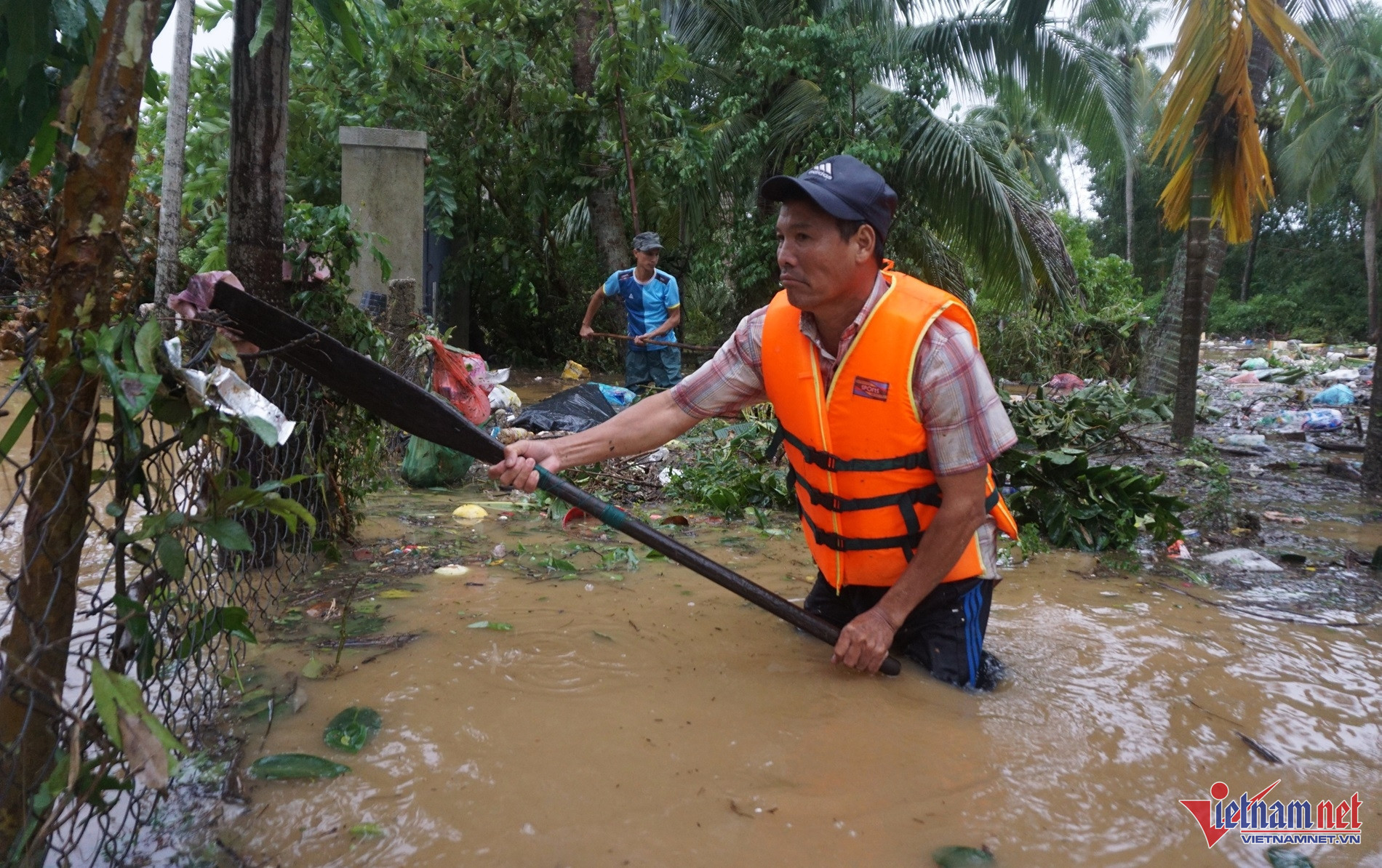 W-bao tra mi9.JPG.jpg