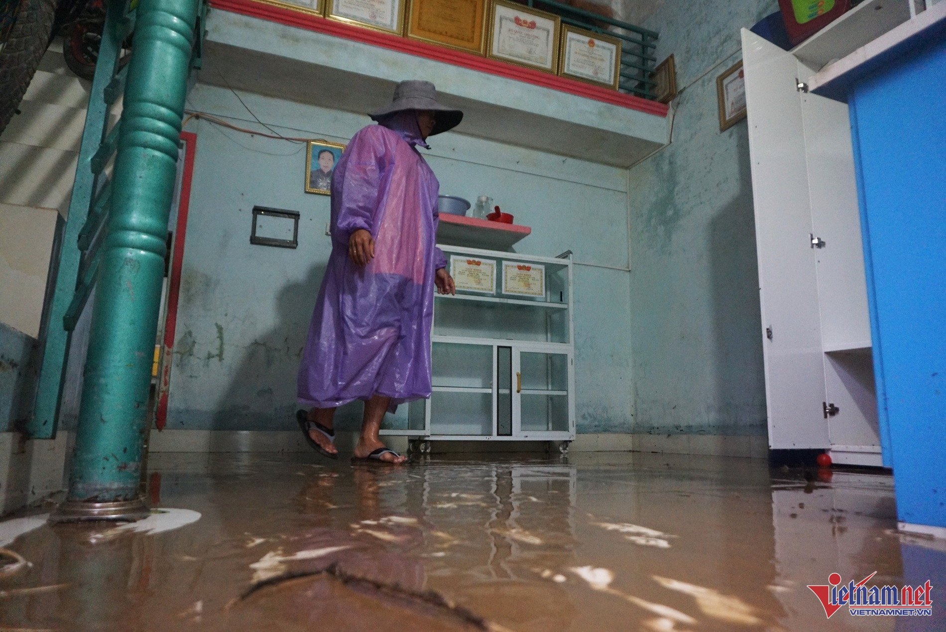 W-bao tra mi11.JPG.jpg