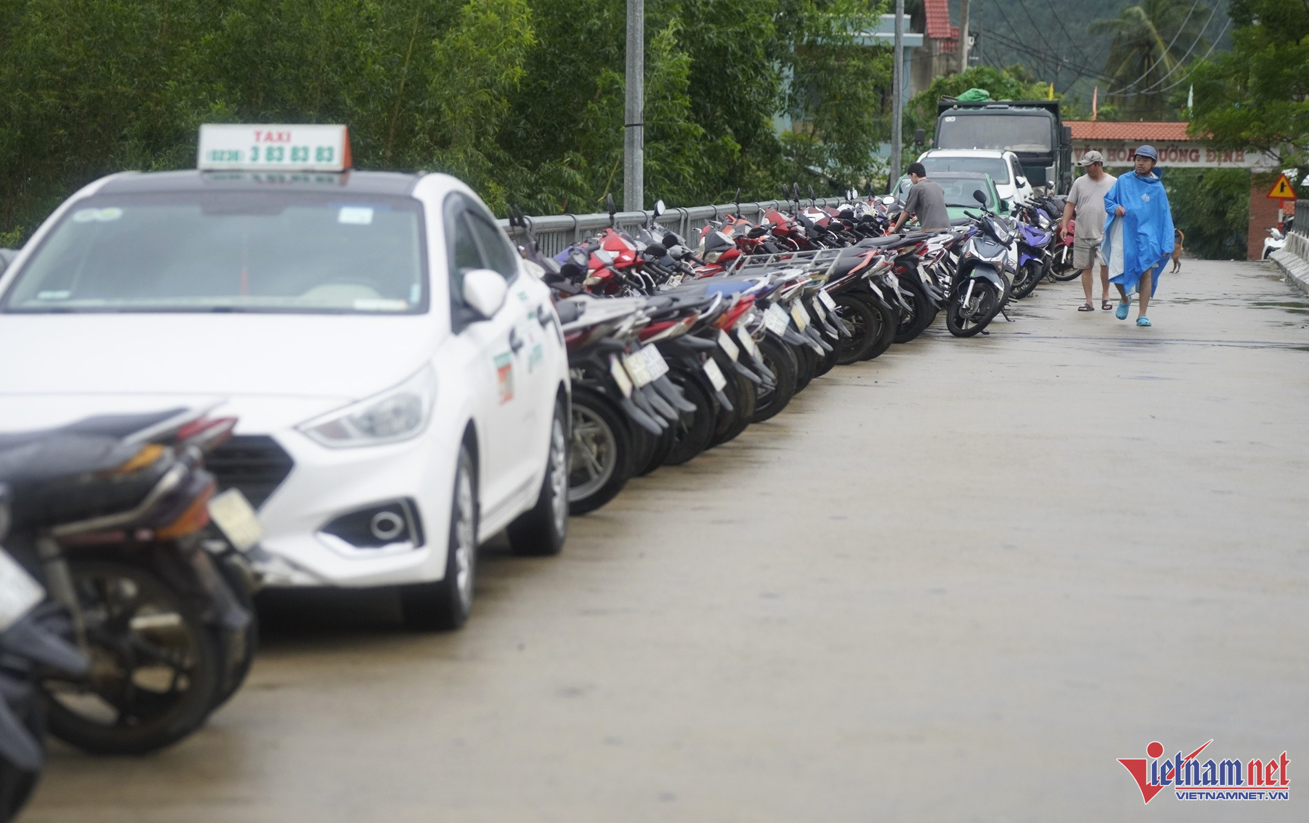 W-bao tra mi13.JPG.jpg