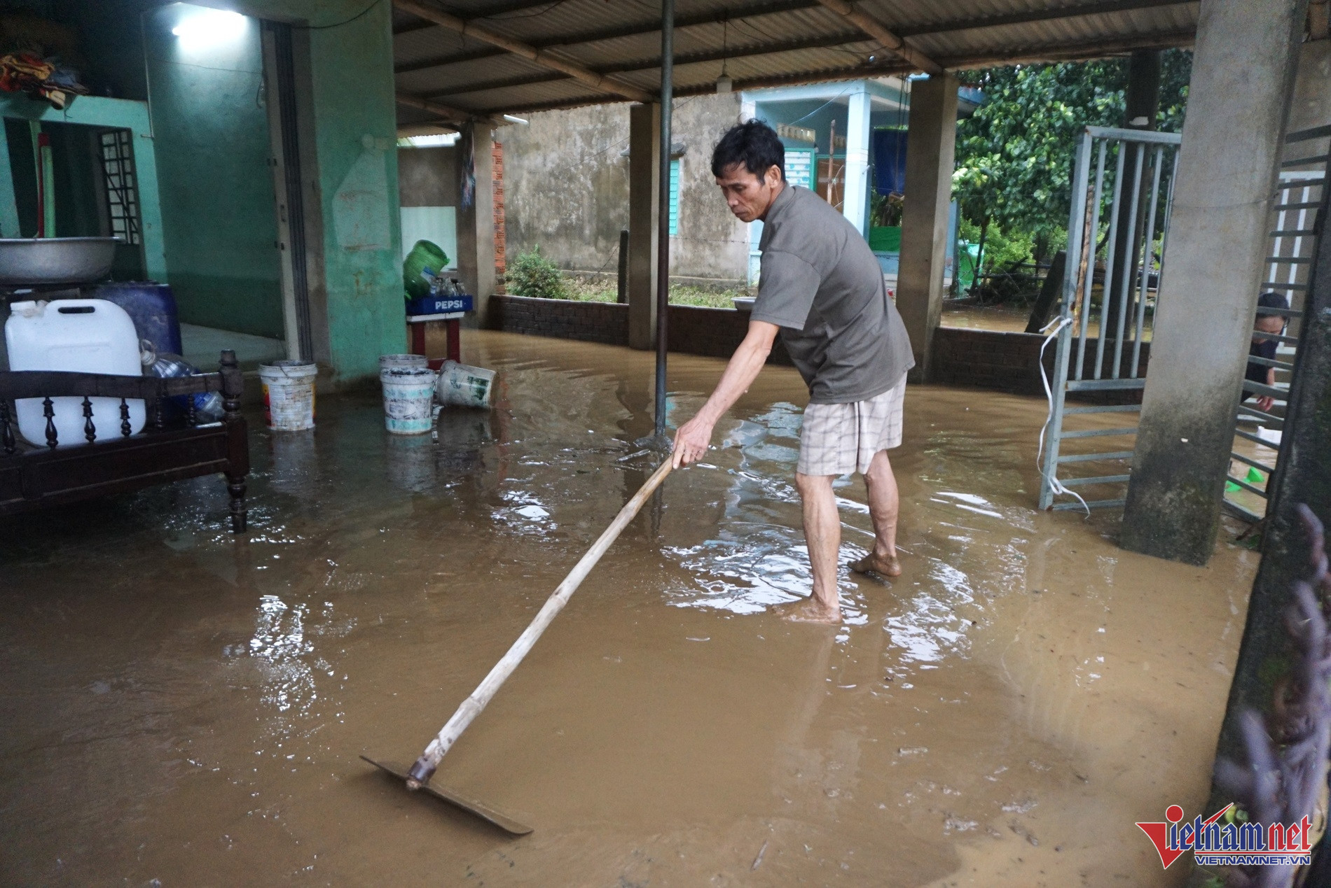 W-bao tra mi8.JPG.jpg